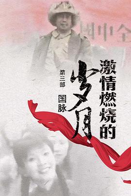 左撇子布朗之歌 封面图